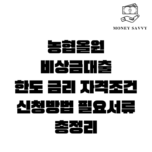 농협올원 비상금대출