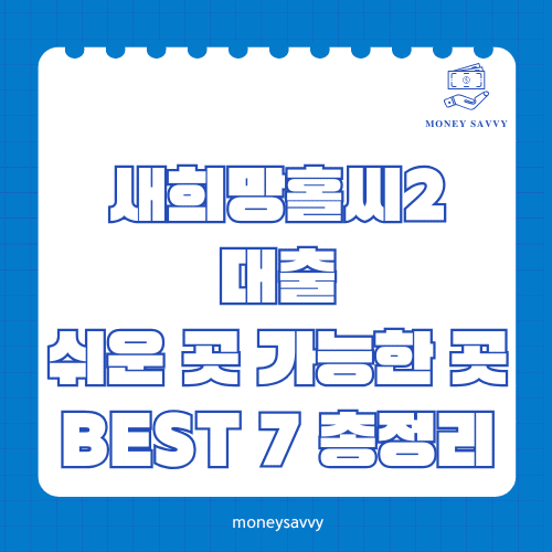 머니세이비_BEST 신규디자인 - 2025-05-21T145213.302 새희망홀씨2 대출