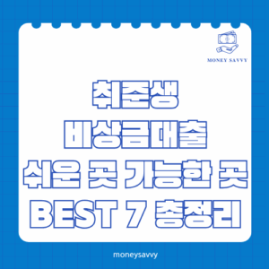 취준생 비상금대출