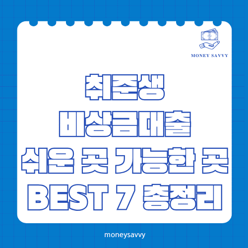 취준생 비상금대출
